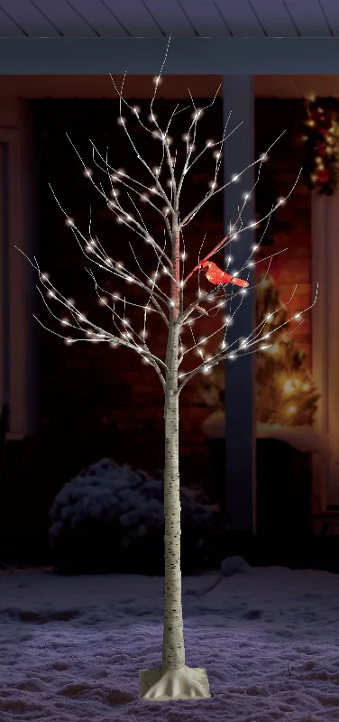 6' Twinkling LED Birch Tree with LED Cardinal