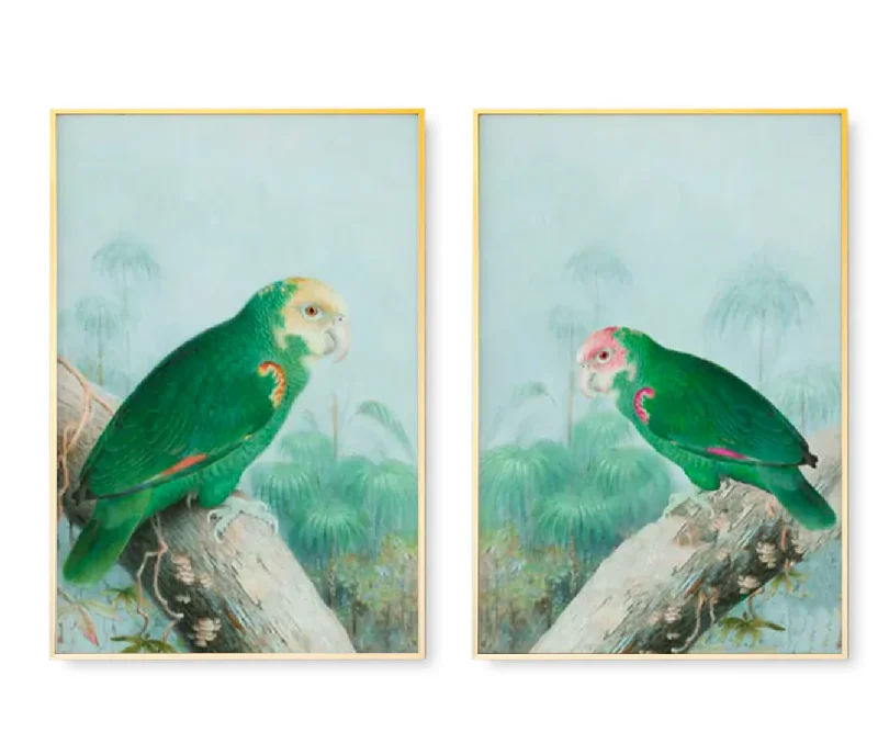 Green Parrot Framed Art Prints