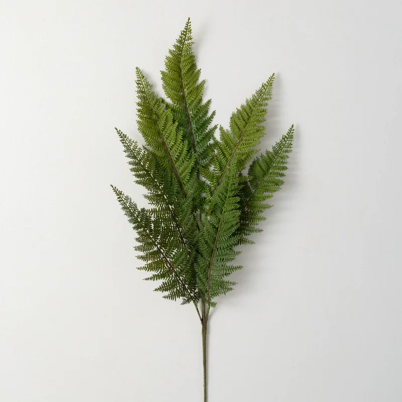 Large Fern Spray