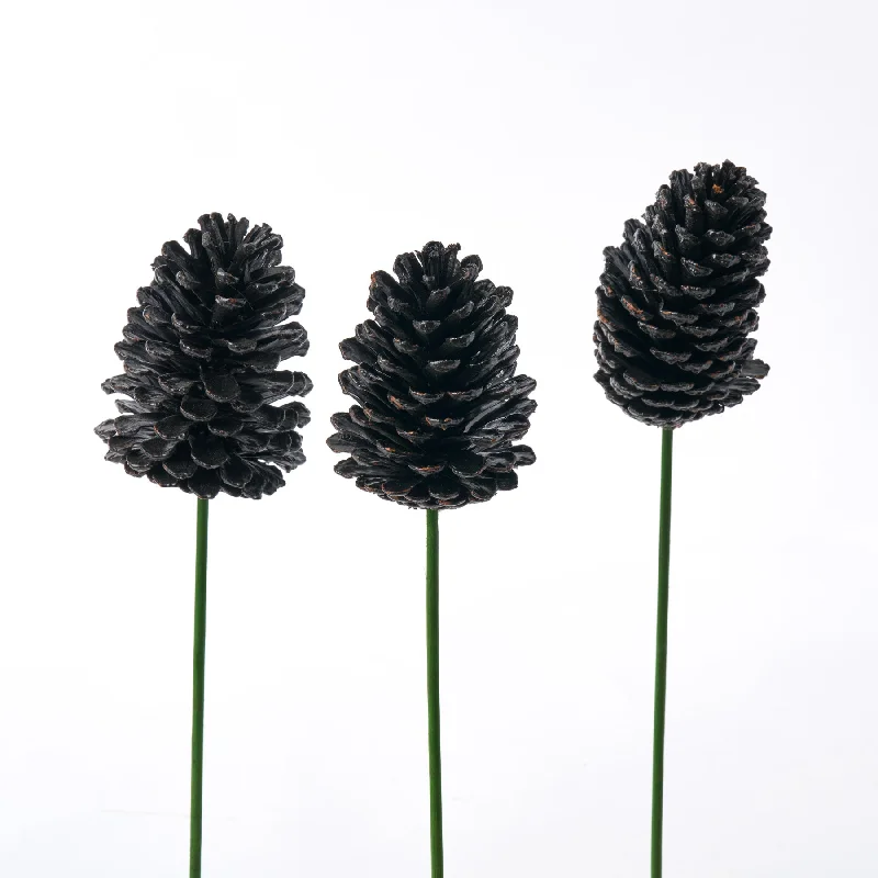 Black Painted Pinecone on Green Wood Pick - Set of 3