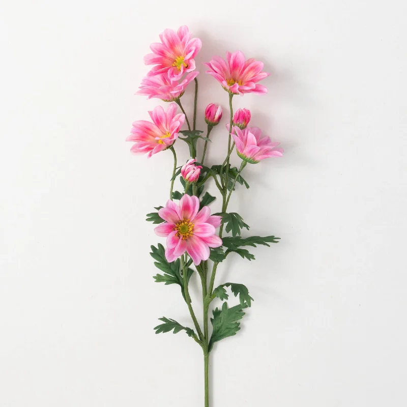 Blush Pink Gazania Stem