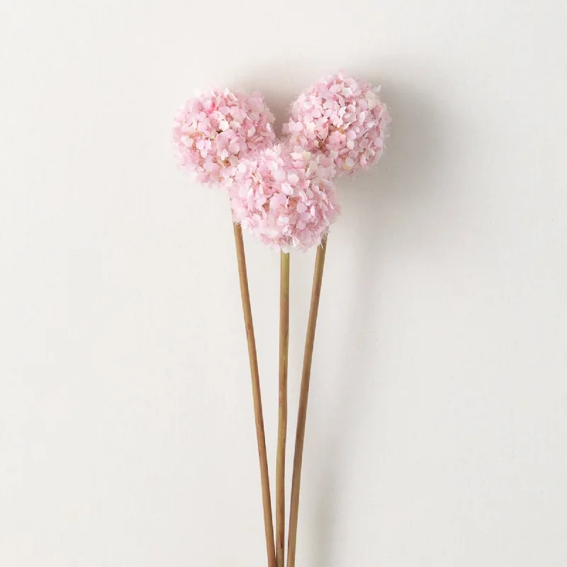 Pink Allium Spring Bunch