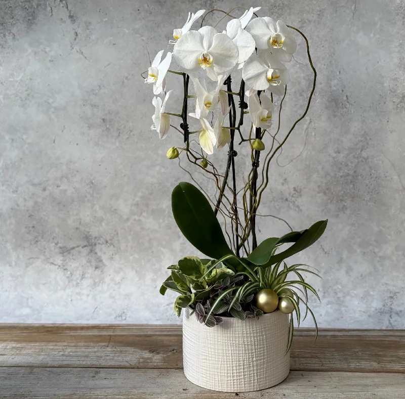 Holiday Orchid Planter Workshop - Various Dates Available